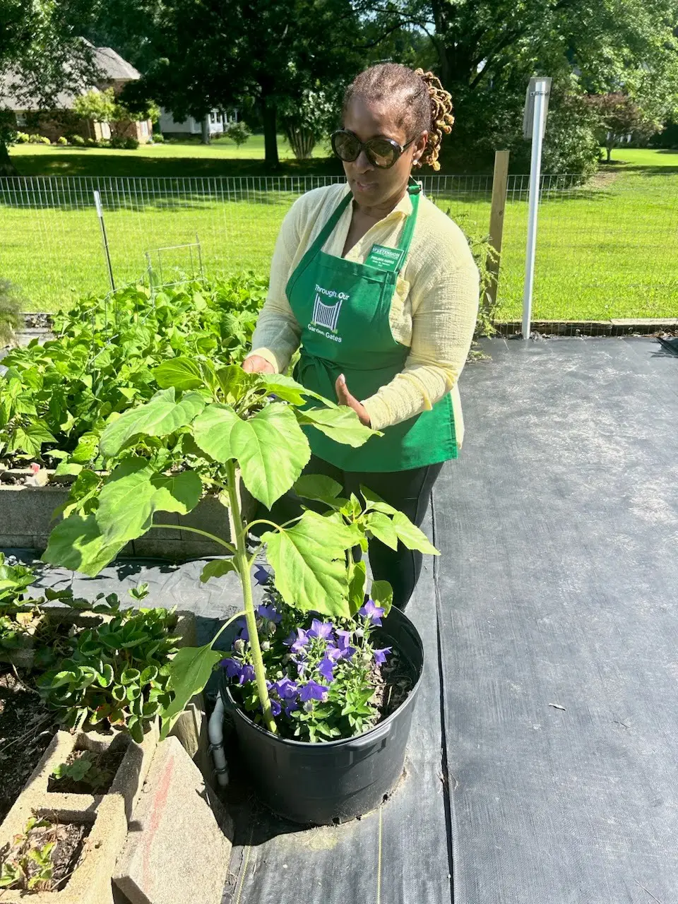 Dr Grow in the Garden