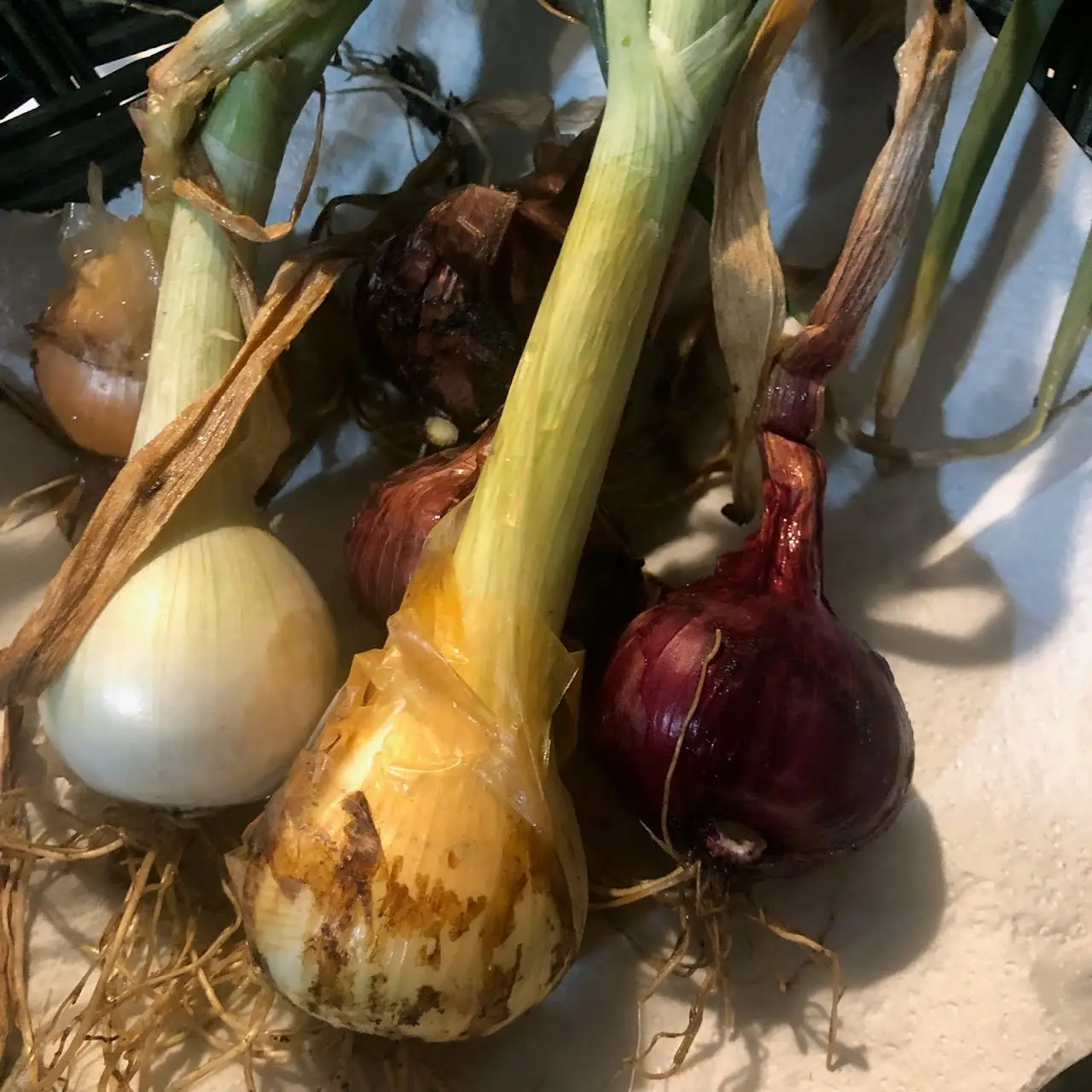 onions
